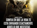Síguenos @somosemprendedores para más. -Motivación -Emprendimiento -Consejos . . Vía @secretos_exitosos  #emprende #actua #aprende #motivacion #exito #lujos #estilodevida #actua #aprende #motivacion #exito #lujos #estilodevida