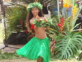 Hula Dancer at Oahu County Fair