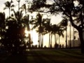 Waikiki Silhouettes and Shadows at Sunset