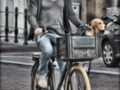 The Transporter