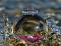 Tea by the Sea (2)