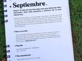 Entre tantas cosas no había dejado está fotico de recuerdo por aquí 🤍 la subí hace semanas en stories y en WhatsApp, y por eso muchas de ustedes la tienen.  Pero me gustaría dejarla aquí, como recordatorio de lo detallista que ha sido Dios inspirando mi agenda 2021. Porque cada palabra ahí escrita, ha sido y está siendo justo lo que necesito leer ✨