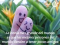 La ironía más grande del mundo es que las mejores personas del mundo tienden a tener pocos amigos.  Quiero tu comentario sobre esto.  #plancreativo2017 #EIDHUMparaCRECER #VivirMejorConmigo #EIDHUM #crecer #vida #Felicidad #amor #amistad #vida #psicologia #motivacion #Barqusimeto #eventosLara #paz #hoy #coaching #crecimiento #TBT #desarrollopersonal #libertad #Emprendimiento #libro #bienestar #serfeliz #amalavida #Bqto