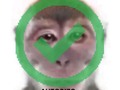 Autorizo que todes me metan en sus 🟢, repito: AUTORIZO