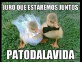 #Patodalavida #viernesdehumor