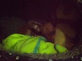 El es mi hijo y lo amo demasiadoooooo. #Ilovemydog