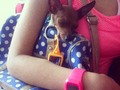 Tabo es lo más juicioso del mundo. Se quedó dormido en la mochila. Te amo 🐶😍esroy enamorada de él...