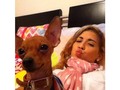 Mi orejon y yo posando.  Te amo mucho mi #tavodormilon #mylove #mypuppy #mybesttfriend 💓💁🐶