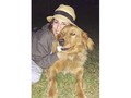 Ella es nuestra bebé...la Golden más hermosa del mundo! 💓🐕 @juanpablorendonm