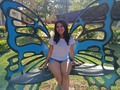 🦋✨