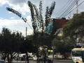 dónde estoy ? sin seguirme por favor