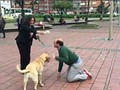 cñor bendito por qué nací en Colombia? xq xq xq xq