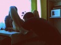 quiero un novio