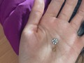 encontré la pareja perfecta de piercing pero como nada es completo en la vida, no entra una flor a la otra flor. 💔