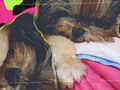 ay mírame a mí hija como duerme de hermosa 🥰