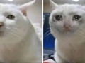 Yo antes de bostezar// yo después de bostezar