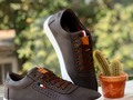 Tommy caballero😎 Excelente calidad 💯 Tallas de la 37-43 💲75.000 🚚 ENVIO GRATIS