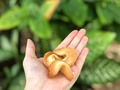 ¡Feliz día del maestro! 📚🍎 Les dejó por aquí esta receta facilita para hacer los niños de la casa aprovechando que hoy tienen el día libre y así tienen algo lindo que llevarle a las maestras mañana! ⠀  Esta receta sólo necesita 4 ingredientes que seguramente ya tienen en sus casas! 🔝🥠 ⠀  Algunos tips que les doy para esta receta son: 👉🏻 Puedes hacerlo a mano pero yo use mi batidora de @venelectronic para hacerlo aún más rápido. NO SOBREBATIR, solo para soltar las claras y airearlas un poco! 👉🏻Si sobrebatiste un poco y la masa no te queda líquida sino pastosa agrega un poquito de agua y revuelve (de 1 en 1 cdita) 👉🏻 Para que todos queden iguales usa debajo del papel encerado/silpat una plantilla (Si la quieres envíame tu email por DM!) 👉🏻 Trabaja en tandas pequeñas 2-3 galletas a la vez, se enfrían muy rápido y luego no puedes doblarlas. 👉🏻 Hornéalas sin convección hasta que empiecen a dorar los bordes. El centro debe quedar blanco 👉🏻 Luego de dobladas, para que mantengan la forma, colócalas calientes dentro de un molde de mini cupcakes como el de @mageflon y hornéalos 5min mas hasta que doren. 👉🏻 Para que se mantengan bien, consérvalas hasta 1 semana en un recipiente hermético ⠀  Esta es una SÚPER receta para arrancar el año! 🎉 Anímate a hacerlas y recuerda usar el #SaborSucré #RecetasSucré y #Sucréacion para poder verlo!
