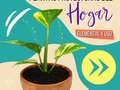 Las plantas en el hogar representan la manifestación del elemental. Cumplen un propósito según la ubicación y carga vibracional, hacen parte del sistema sanador del universo y proporcionan armonía.   #terapiadepareja #terapiasespirituales #terpiasalternativas #angelesmedellin #meditación #yoga