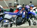 La dos tarros 🔥😍🔝💯💘 Aportes de sólo melos al direct 🔥🍼#Melo #Dt200 #lamejoryamaha #motosparatodalavida #yamahadt #SuitUpMedellin🔥 #yamaha #yamahadt200 #blue #classic #bikelife #bikestar #bikestagram #like #2t #2tarros #200cc #enduro #motocross #racing #livetoride #lavidaendosruedas #💀 #luxury #Medellín #braap #yamahadtoficial #bikeporn #dualpurpose #miraadiosbye