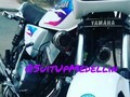 🔥🔥💀💀 #SuitUpMedellin #dope #style #rx100 #rx115 #rxz #rxs #rxking #kingrx #lamejoryamaha #fallow #followme #silvona #silvana #braap #reallikes #like #delbarrio #ladelbarrio #maquinaria #2strokes #2tiempos #yamaha #SuitUpMedellin #aloquees #linda #bikeporn #bikelife #bikeking #colombia_bikes #classic #SuitUpMedellin