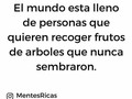Nada más por añadir #SuitUpMedellin #Repost @mentesricas with @repostapp ・・・ Lastimosamente... Aleja lo negativo de tu vida! @mentesricas