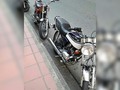 #DomingoDeLucirLosMelos Gatitos 🐱🐺 #SuitUpMedellin Aportes al #Direct 👌 #suitupmedellin #suicidésquad #medellin #kawasaki #kawasakigto #gato #gto #perfectshot