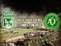#SuitUPMEDELLIN #ForçaChape #Fuerzachapecoense #forçachapecoense #soydelverdesoyfeliz
