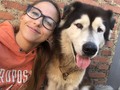 Terapia de perros 🙊
