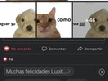 el último comentario automatico??? Qjsjajaj