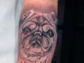 Tattoo dog