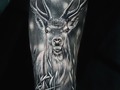 Tattoo papá de bambi