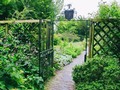 A secret garden.. 💚 . . #chalicewell #glastonbury #england #travelwithme #secretgarden #botanicalgarden #kingarthur #eurotrip #memories #takemethere