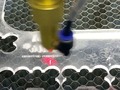 Plaquitas personalizadas para tu mascota en acrílico 100% de 4mm. @digital_ideas2020