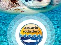 Hoy conmemoramos el #DíaMundialdelasTortugasMarinas y en #acuariorodadero y la Fundación CIM Caribe estamos comprometidos con la conservación de ellas. . . #AcuarioRodadero #VacacionesEnSantamarta #ElRodadero #QueHacerEnsantamarta #SalvemosLasEspecies #díamundialdelastortugasmarinas #Conservancy #FundacionCIMCaribe
