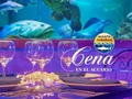 ¿Pensando en San Valentín?  Cena en el Acuario este mes. Disfrútala en familia o en pareja y descubre el encanto de la noche en el Acuario Rodadero.⁣ ⁣ Incluye: Plato de entrada, Plato fuerte, Postre, Copa de vino y bebidas, Transporte marítimo nocturno, recorrido en el Acuario.⁣ ⁣ Reservas al 316 5228827 - 318 3240268 ⁣ .⁣ .⁣ #cenaromantica #acuariorodadero #cenaenelacuario #santamarta #cuariorodadero #elrodadero #santamarta #laperladeamerica #yodescubrolaperla #visitcolombia #vacaciones #travelgram #barranquilla #valledupar #bucaramanga #medellin #bogota #lomejordecolombia #viajamas