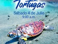 Nos agrada contarles que este sábado tendremos liberación y reintroducción de Tortugas Marinas. Te invitamos a seguirnos y a estar atent@ de este acontecimiento.  #lahistoriadeunatortugamarina #liberaciondetortugas #liberaciondetortugasmarinas