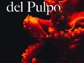 Sabías qué … los pulpos son los invertebrados más inteligentes 🤓Tanto así, que tienen la capacidad de reconocer rostros y son capaces de modificar su forma y color para camuflarse 😮  ¿Qué otro dato conoces sobre los pulpos? ¡Coméntanos! 👇🏼  #DíaInternacionalDelPulpo 🐙  — #AcuarioRodadero #SantaMarta #datocurioso #pulpos