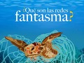 Las redes ‘fantasma’ son los equipos de pesca abandonados o perdidos en el mar. Se convierten en una amenaza silenciosa, que atrapa a una gran cantidad de especies de manera no selectiva.   🐬 En ellas, quedan enredados mamíferos marinos, tortugas, tiburones, peces e incluso aves marinas. Lo que ocasiona muertes lentas y dolorosas.   🪸 De la misma forma, estas redes fantasmas también afectan el desarrollo y crecimiento de los corales.  🎣 Es importante conocer este tema, porque usualmente, detrás de la pérdida de estas redes, se esconden temas de pesca ilegal. Además, según WWF, cada año, en promedio, 500.000 a 1 millón de toneladas de artes de pesca son abandonadas en el océano.  ✅ Desde el @cavrmarino en alianza con @corpamag y con ayuda de los pescadores de diferentes zonas, hemos realizado rescates de mamíferos marinos que han quedado atrapados en estas redes fantasma y estamos en la misión de seguir combatiendo esta amenaza silenciosa.  — #AcuarioRodadero #conservaciónmarina #SantaMarta #Colombia #redesfantasma #ghostfishing