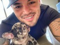 Con mi socio @zeus__merle #frenchbulldog #frenchie #merle #picoftheday