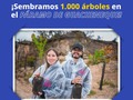¡Cuidar del planeta está en manos de todos! 🤝 Con la ayuda de 150 Teleperformers, sembramos 1.000 árboles en el Páramo de Guacheneque. 🌳