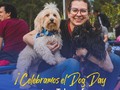 ¿Los protagonistas principales del Dog Day? Los perros de nuestros Teleperformers. 🐾🤩 ¡La vida es definitivamente mejor con un peludito de 4 patas! 🦮🐕‍🦺