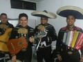 MARIACHI TENAMPA VALLEDUPAR 3157055472 - 3008045061.... con lo mejor de la música Mexicana.. #elmariachidelosartistas...... MARIACHI TENAMPA VALLEDUPAR 3157055472 - 3008045061