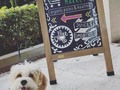 We are pet friendy!!! We are open 9 am - 8 pm🐶🐶🐶