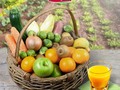 [Bon Plan Montpellier] Manger au quotidien de…
