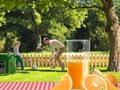 Demain, c’est officiellement le printemps ! Le…