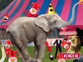 Mais où est Joko ? Rendez-vous pour jouer sur…