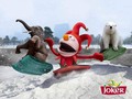 Malgré ce froid, Joko aussi s’amuse comme un…