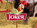 Arriverez-vous à trouver Joko et sa bouteille le…