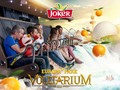 Envolez-vous avec Joko sur le Voletarium, la…